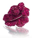  21st-Century Jewellery Designers : An Inspired Style 
