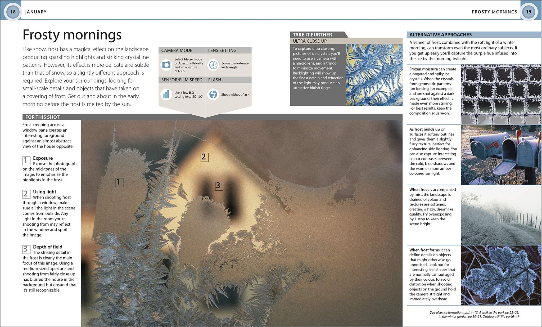  Digital Photography Month by Month_Tom Ang_9780241238967_Dorling Kindersley Ltd 