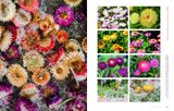  Super Bloom: A Field Guide To Flowers For Every Gardener 