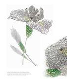  21st-Century Jewellery Designers : An Inspired Style 
