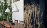  A New Leaf: Curated Houses Where Plants Meet Design_Jennifer Haslam_9781784884628_Hardie Grant Books (UK) 
