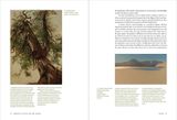  Emersons Nature_Tyler Green_9783791378695_Prestel 