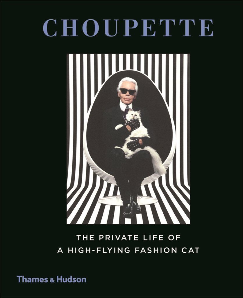  Choupette : The Private Life of a High-Flying Fashion Cat 