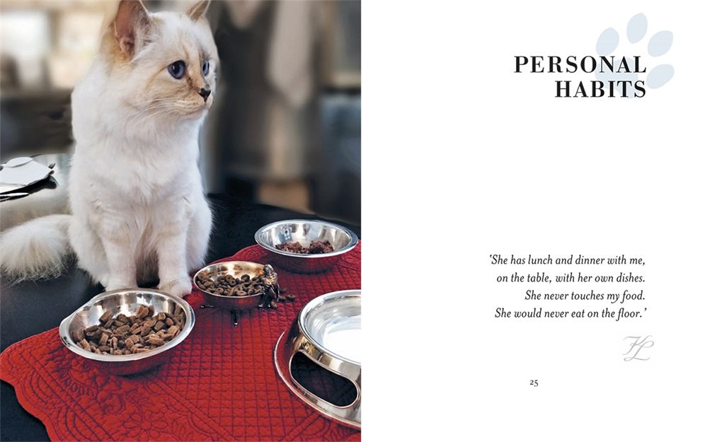  Choupette : The Private Life of a High-Flying Fashion Cat 