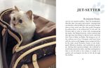  Choupette : The Private Life of a High-Flying Fashion Cat 