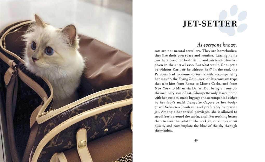  Choupette : The Private Life of a High-Flying Fashion Cat 
