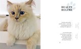  Choupette : The Private Life of a High-Flying Fashion Cat 