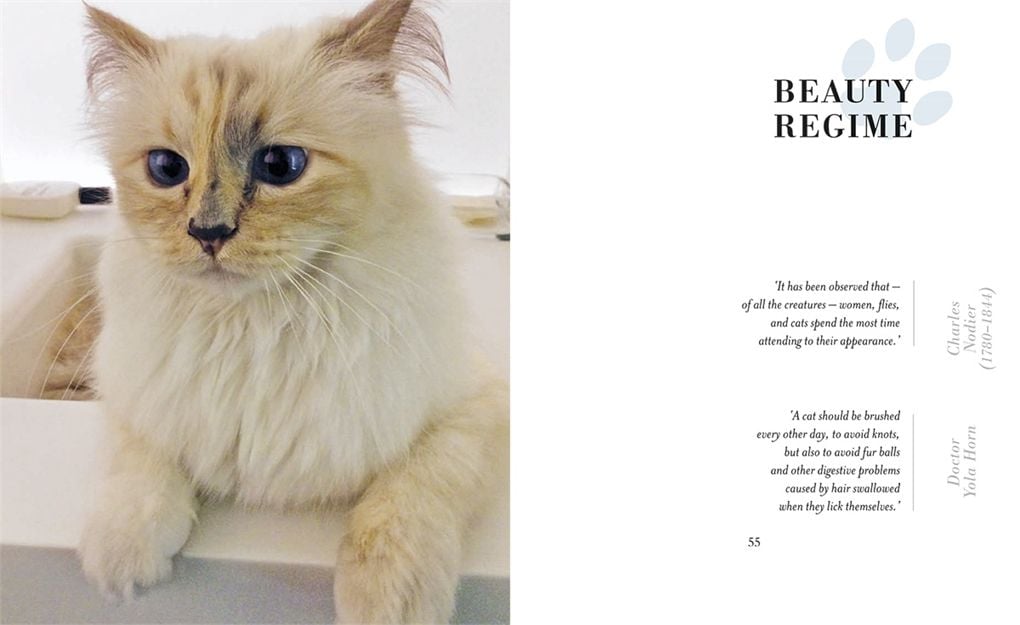 Choupette : The Private Life of a High-Flying Fashion Cat 
