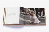  Magnum Dogs_ Magnum Photos_9780500545478_ Thames & Hudson Ltd 