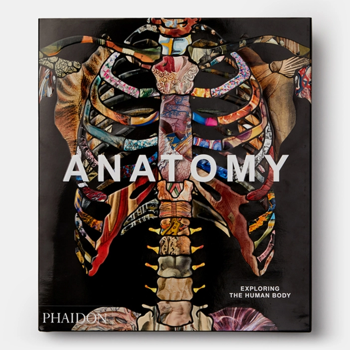  Anatomy, Exploring the Human Body 