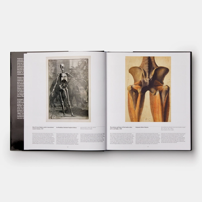  Anatomy, Exploring the Human Body 