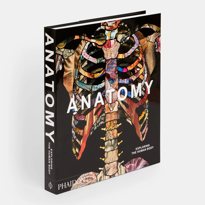  Anatomy, Exploring the Human Body 