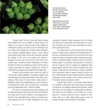  Tropical Colors_Sakul Intakul_9780804845922_Periplus Editions 