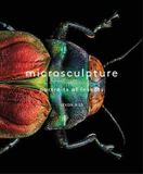  Microsculpture : Portraits of Insects_Levon Biss_9781419726958_Abrams 