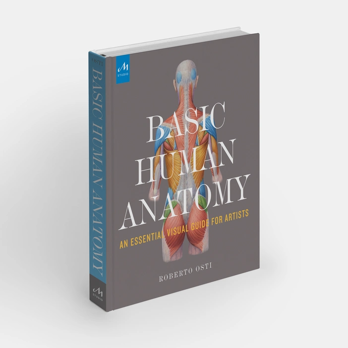  Basic Human Anatomy : An Essential Visual Guide for Artists 