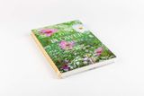  Flower Garden: How to Grow Flowers from Seed : How to Grow Flowers from Seed 