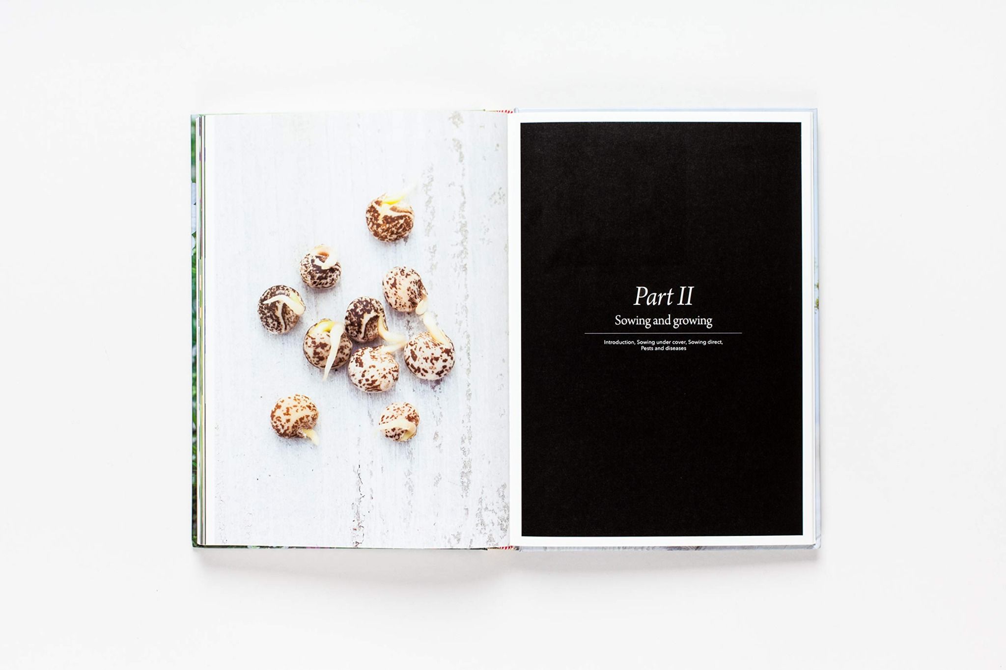  Flower Garden: How to Grow Flowers from Seed : How to Grow Flowers from Seed 