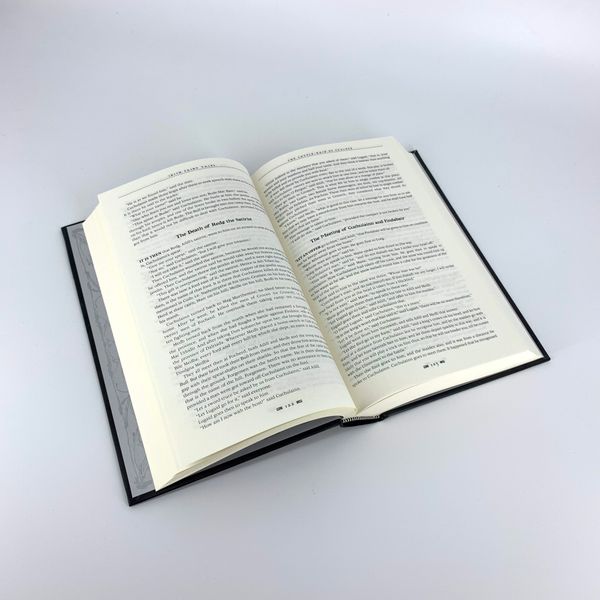 Irish Fairy Tales_D.L. Ashliman_9781786648068_Flame Tree Publishing