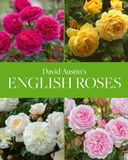  David Austin's English Roses 