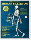  Build Your Own Human Skeleton_Taschen_9783836572545_Taschen GmbH 