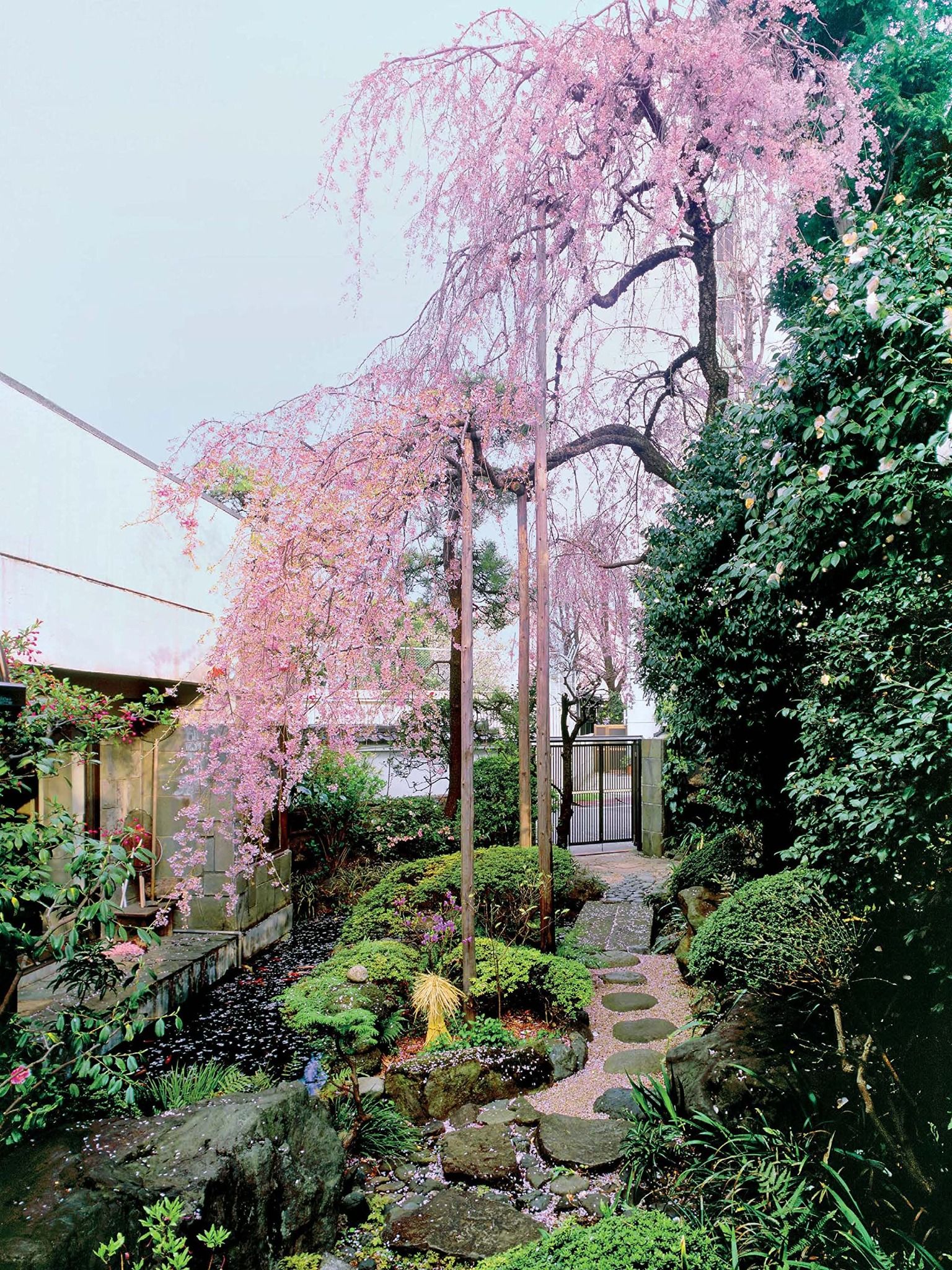  Inside Your Japanese Garden: A Guide to Creating a Unique Japanese Garden for Your Home 
