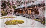  Kengo Kuma and the Portland Japanese Garden_Botond Bognár_9780847864669_Rizzoli International Publications 