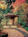  Inside Your Japanese Garden: A Guide to Creating a Unique Japanese Garden for Your Home 