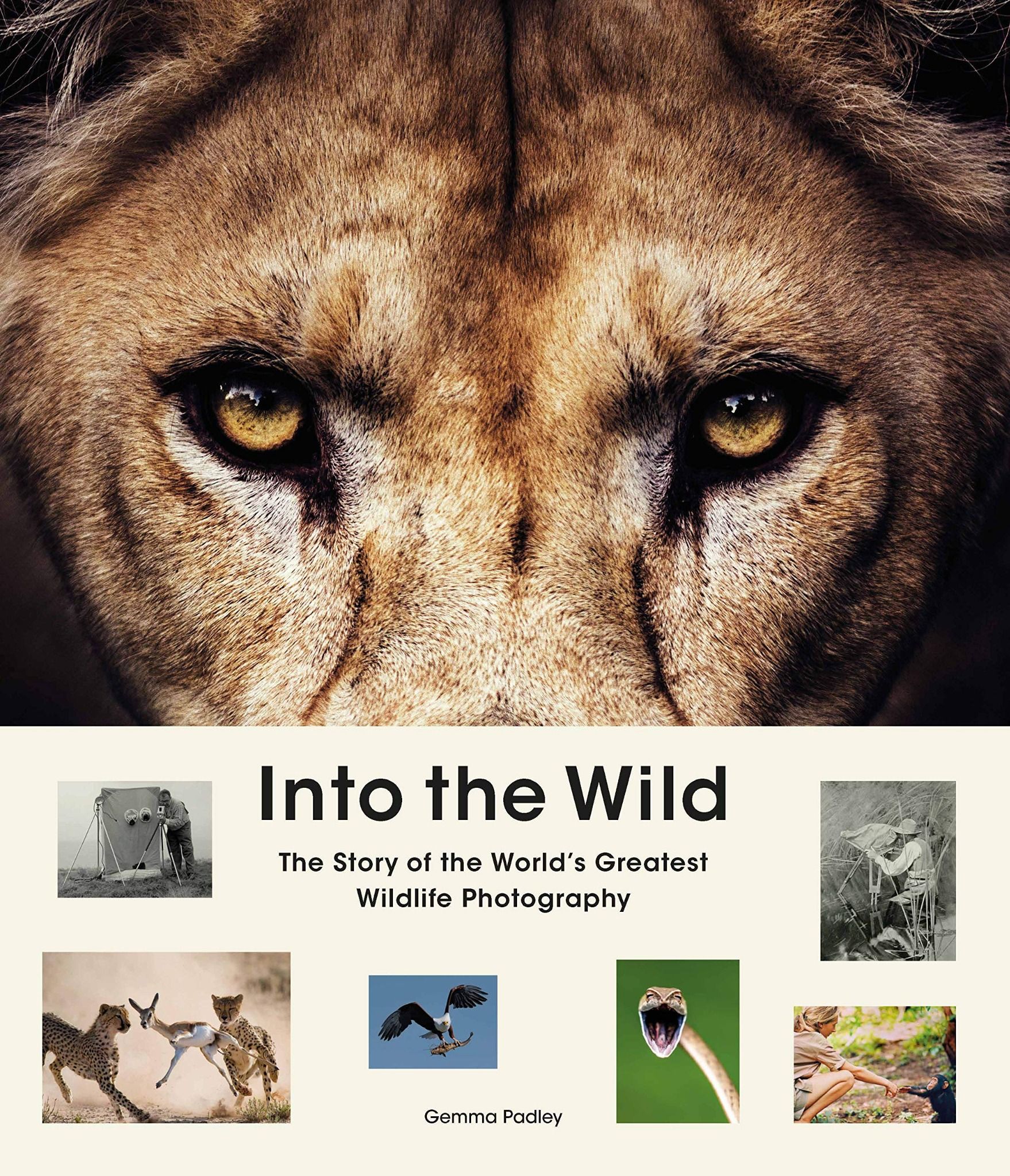  Into The Wild_Gemma Padley_9781913947484_Laurence King Publishing 