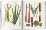  Martius: The Book Of Palms  _H. Walter Lack_9783836566148_Taschen 