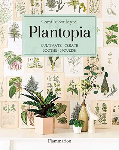  Plantopia : Cultivate / Create / Soothe / Nourish 