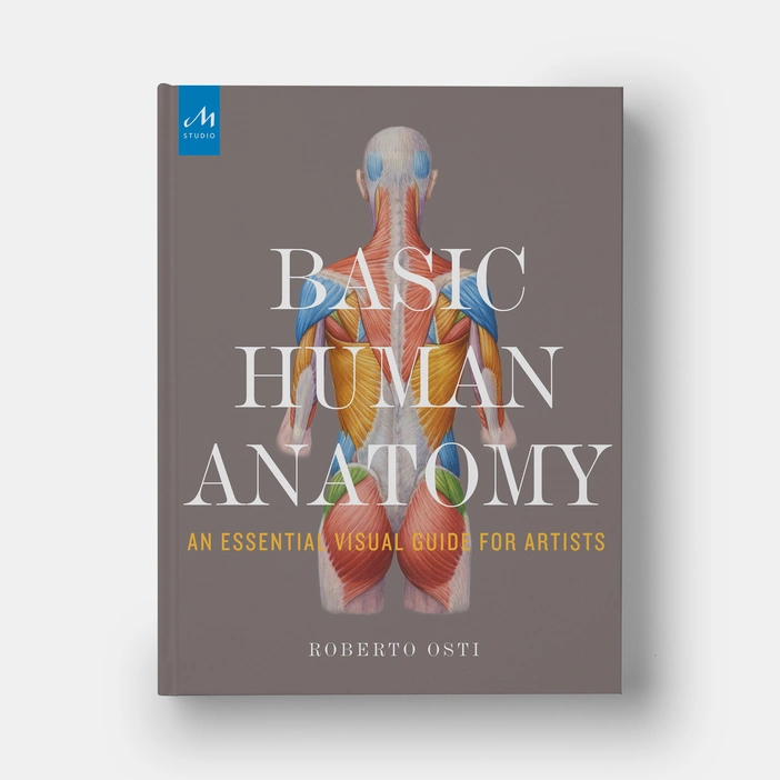  Basic Human Anatomy : An Essential Visual Guide for Artists 