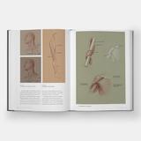  Basic Human Anatomy : An Essential Visual Guide for Artists 