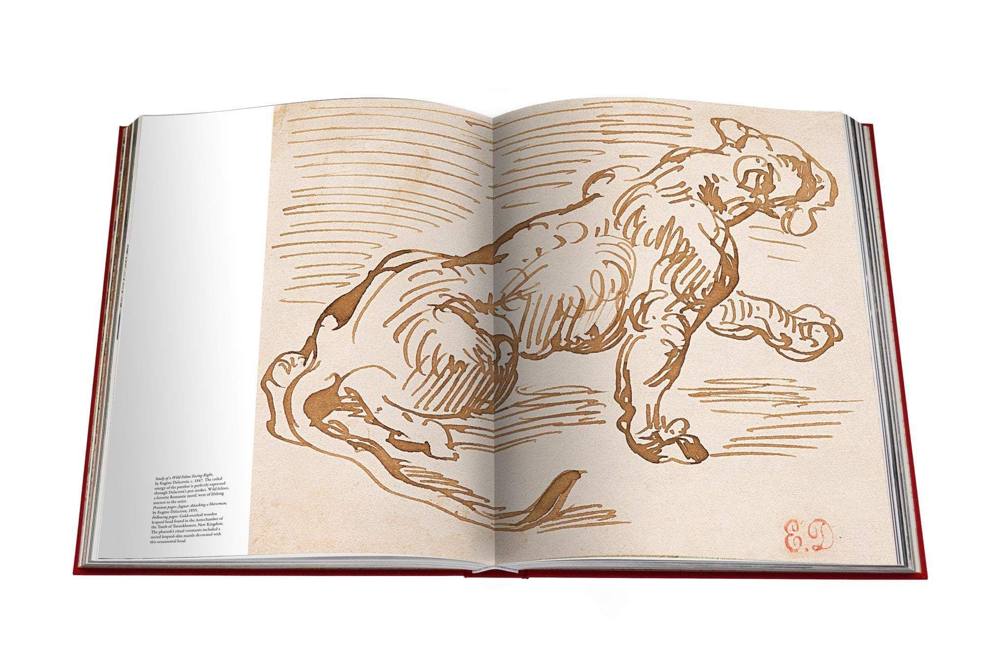 Cartier panthère book sale