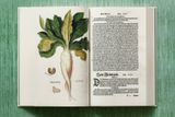  Leonhart Fuchs. The New Herbal_Werner Dressendoerfer_9783836587662_TASCHEN 