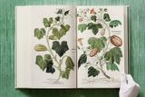  Leonhart Fuchs. The New Herbal_Werner Dressendoerfer_9783836587662_TASCHEN 