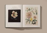  Botanical Inspiration : Nature in Art and Illustration 