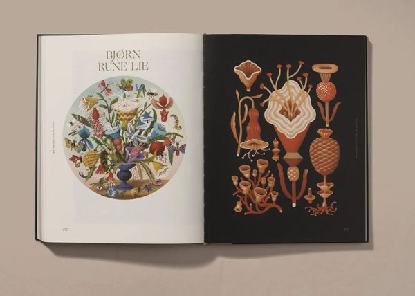 Botanical Inspiration : Nature in Art and Illustration