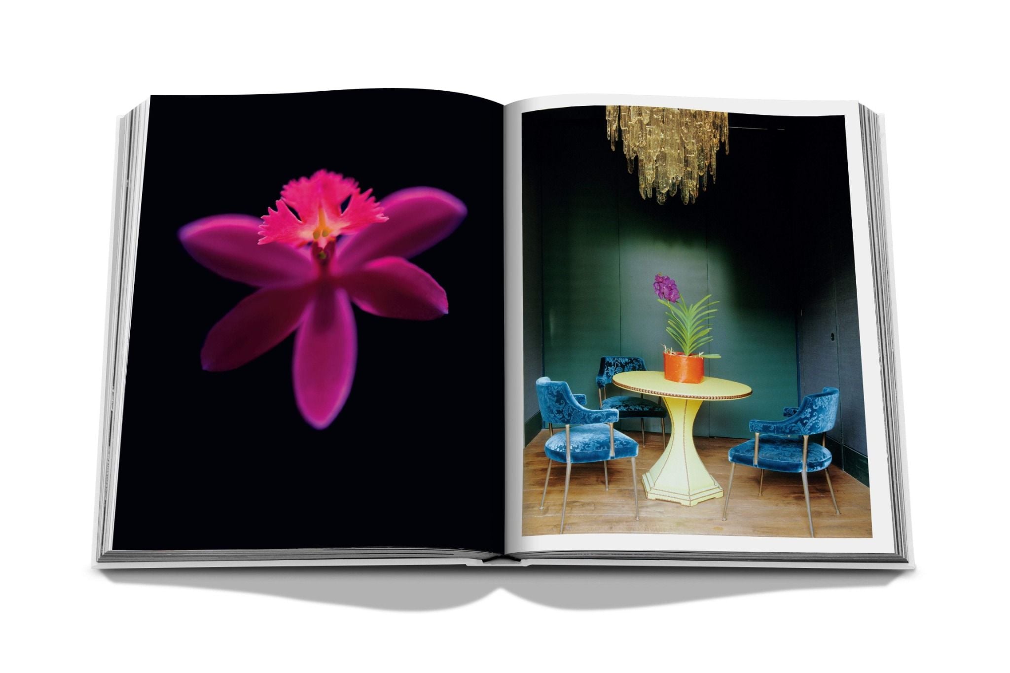 Flowers Art and Bouquets_Sixtine Dubly_9781614285144_ASSOULINE ARTBOOK