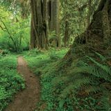  Hiking Trails of the Pacific Northwest_Bart Smith_9780847867660_Rizzoli International Publications 