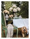  Living Floral_Margot Shaw_9780847863624_Rizzoli International Publications 