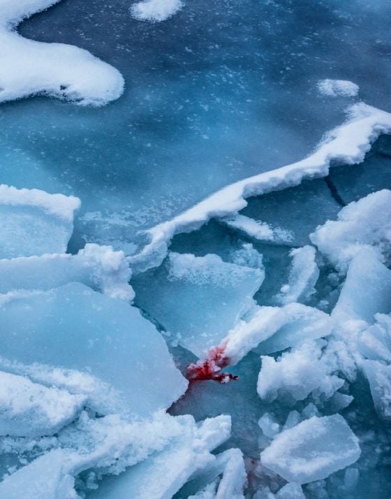  Polar Tales_Fredrik Granath_9780847868841_ Rizzoli International Publications 