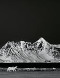  Polar Tales_Fredrik Granath_9780847868841_ Rizzoli International Publications 