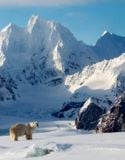  Polar Tales_Fredrik Granath_9780847868841_ Rizzoli International Publications 