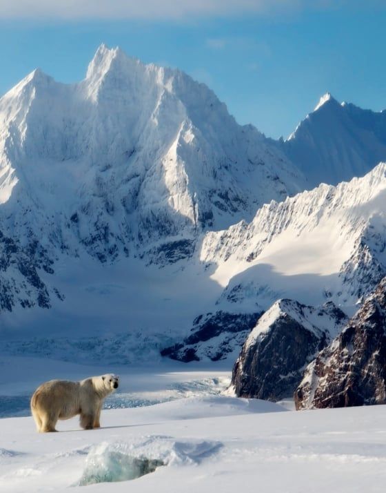  Polar Tales_Fredrik Granath_9780847868841_ Rizzoli International Publications 