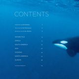  Seeing Silence_Pete McBride_9780847870868_Rizzoli International Publications 