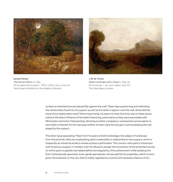  William Tillyer_John Yau & William Tillyer_9780847870660_Rizzoli International Publications 