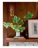  House Story : Insider Secrets to the Perfect Home Renovation_Jasmine Roth_9781984859174_Penguin Random House 