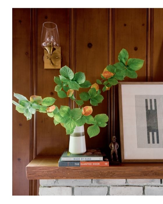  House Story : Insider Secrets to the Perfect Home Renovation_Jasmine Roth_9781984859174_Penguin Random House 