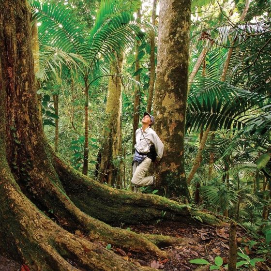  America's Great Forest Trails_Tim Palmer_9780847867578_Rizzoli International Publications 