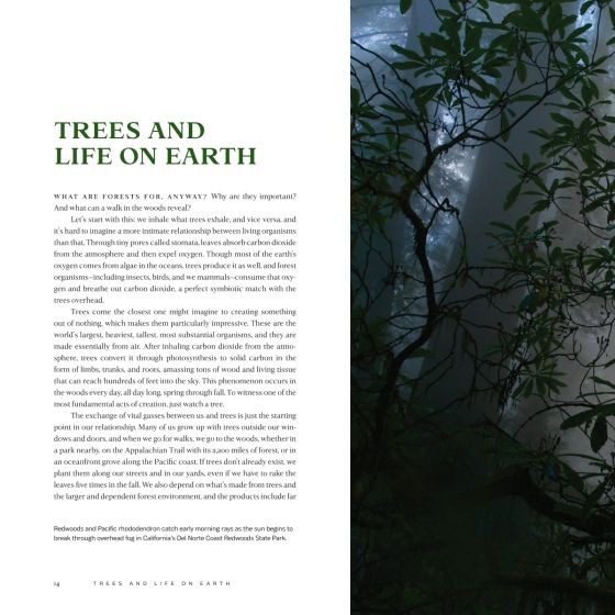  America's Great Forest Trails_Tim Palmer_9780847867578_Rizzoli International Publications 